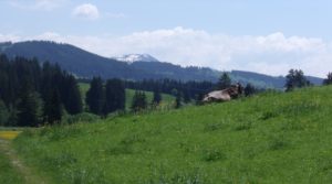 Grünten Rottachsee Allgäu